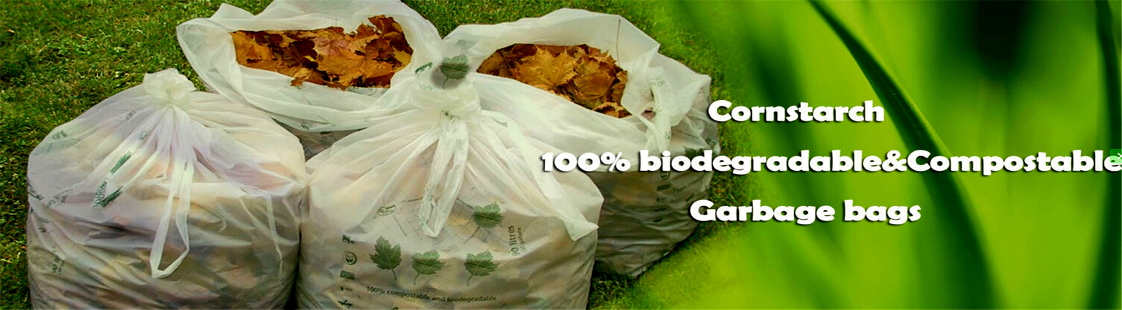 Biohazard Sampling Bags